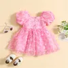 Girl's jurken Kinderjurk Girl Zomer Jurk Korte Puff Sleeve Butterfly Decor Dance Performance Mesh Princess Dress Dress R230815