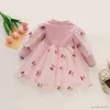 Mädchen Kleider Kleinkind Baby Mädchen Prinzessin Kleidung Kirsche Stickerei Langarm Layered Tüll Party Kleider Neugeborene für Baby Frühling Kleid Outfit