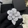 Pins de letras de diseñador de marca broches Mujeres Flor de cristal que nunca se desvanece de latón suéter de cobre broche broche traje de boda