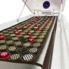 Stoomruimte energie Cabinetherapie foton lichttherapie ozon sauna spa capsule met verre infraroodmat