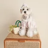 Одежда для собак кружевная одежда для щенка милая хлопчатобумажная рубашка для плюшевого шнауцера весенняя печать маленькие собаки девушка капля капля