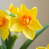 Fiori decorativi 5 pezzi di seta in plastica giallo bianco narciso artificiale Narciso fiore bouquet casa decorazioni per matrimoni fali