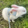Küçük hayvan malzemeleri est sevimli tavşan koşum takımı ve tasma seti tavşan evcil hayvan aksesuarları yelek kablo demetleri açık hava yürüyüşü için tasmalar 230815