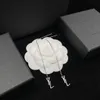 fashion Jewelry Y Letter Long Tassel Hanging Earrings for Women and Men Gold Silver Jewelry Wedding Jewelry