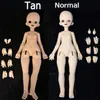 Dolls Gaoshunbjd 14 Cococat ACGN Anime Comic Body Body Form for Girl