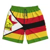 Shorts masculinos nadar no verão de roupas de banho de nadar na praia praia tábua de roupas machos calças zimbabwe bandeira