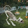 Novelty Items Great Ecofriendly Skeleton Cat Decor Realistic Looking Festival Ambience Halloween Skeleton Cat Decoration Photo Prop J230815