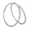 Hoop Earrings Big Rhinestone Luxury Designer Women's Jewelry Brinks Wedding Statement Accessories Wholesale
