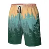 Męskie spodenki na plażę Surfing Maillot de Bain Summer Mountains Landscape Hills Sport Board Szybkie suche stroje kąpielowe