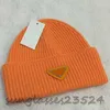 Klassiker Designer Herbst Winter Mens Beanie Hut Heiße Stil Männer und Frauen Mode Universal Strick Mütze Herbst Wolle Outdoor warme Schädelkappen 13Kolors