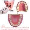 Inny model zębów dentystycznych higieny jamy ustnej do treningu technika dentystyczny