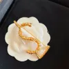 Diamantdesigners broscher för kvinnor lyxiga gyllene smycken damer kristall strassstift