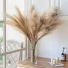 Decoratieve bloemen Faux Pampas Grass Large 39 "/100 cm lange kunstmatige pompeuze tak Plant Fluffy bloembloem vaasvuller voor Home Boho