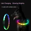 Dog Apparel Collar LED LUZ A descoloração USB Luminous Perro Luz LEZ LED Plashing recarregável brilhando para PET 230814