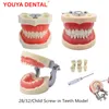 Andere mondhygiëne tandheelkundig model tanden onderwijsmodel met tandvleesverwijderbare tand voor tandheelkunde technicus praktijk training bestuderen typodont modellen 230815