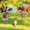 Garden Decorations Duck Yard Stake 2D Sign Acrylic Lawn Art Outdoor Animal Statue Stakes All-Season Suitable For Swimming Pool