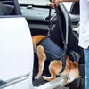 Cintura assistita per assistenza per l'abbigliamento per cani per gambe anteriori e posteriori giubbotti di recupero elastico cinghia del torace a piedi regolabile 230814