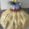 Girl's Dresses Luxury Princess Party DressBaby Girl Clothes Flower Lace Dresses for Girls Yellow Print Birthday Clothes Cute Children Clothing 230815