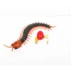 ElectricRC -Tiere Infrarot USB Fernbedienung Centipede Elektrikspielzeug Kinder Halloween Schmuckprops 230814