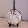 Cat Carriers Style 4 Wiel PET Space Bag Clear Breathable Carrier Travel voor Outdoor