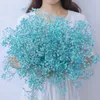 Decorative Flowers Blue Dried Baby's Breath Bouquet Projects And Christmas Decor Over 2000 - Perfect For Home Weddings DIY Floral