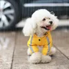 Дорогая одежда в плащ с четвероногим водонепроницаемым трансграничным мелким и средним собаками отражает все обложенный питомец Тедди Пончо