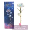 Kwiaty dekoracyjne 2pcs /niesamowita LED Fairy Rose 24K Złoty sztuczny kwiat na dziewczynę Wedding Walentynki Prezent urodzinowy