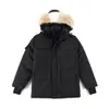 Down Designer High Quality Winter Puver