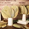 Faux Floral Greenery Gedroogd Pampas Grass Bouquet Natuurlijke palmbladeren Tropische droge arrangementen Boho Fan voor bruiloften Party Home 230815