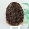 Fashionable Women's Wig Gradient Color Small Roll Front Lace Fiber Head Cover Explosive Head High Temperatur Silk Wig 230816