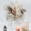 Decorative Flowers Wreaths 80Pcs Natural Dried Fluffy Pampas Grass Bouquet Set Boho Home Decor Pompous Large Reed Bunny Tail Wheat Stalk 230815