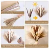 Dekorative Blumen Kränze 80pcs natürlicher getrockneter flauschiger Pampas Grasbouquet Set Boho Home Decor Pompous großer Schilfhasen -Schwanzweizen -Stiel 230815