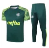 2023 2024 Palmeiras Long Soccer Jerseys tracksuit kits 23 24 BRENO LOPES R.VEIGA DEYVERSON football training suit jacket Survetement