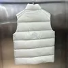 Designer västar kvinnors broderiemblem Zipper Stand Neck Sleeveless Puffer Vest Par Förtjockade varma män Gillet Winter Jacket Lulules