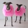 Vestuário para cães roupas de designer de cães suéter de pele de luxo rosa azul roxo de alta qualidade malha quente para filho