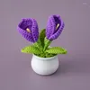 Decorative Flowers Handmade Crochet Flower Finished Hand Woven Knitted Artificial Potted For Home Balcony Desktop Decor