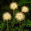 Luzes solares do jardim solar Dandelion