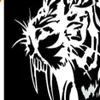 28 28CM Reflective Car Sticker Decals TIGER Head Hood Of Car And Motorcycle Side Car Stickers Steller Black Silver Yellow CT-5762363