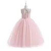 Girl Dresses Pink Fluffy Tulle Lace Sleeveless Flower Dress For Wedding Elegant Little Child First Communion Beauty Pageant Ball Gowns