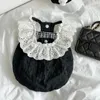 Hundkläder Fashion Spring Autumn Summer Elegant Clothes Cat Puppy Black Lace Dress for Small Princess Pet Kirt York Bichon Costume