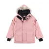 Down Designer High Quality Winter Puver