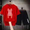 Studi da uomo tracce di t-shirt di lusso coreano set da uomo in cotone tracce di camicia oversize shorts schiere da donna Short Street Streetwear Fashion Outfits 230815