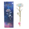 Kwiaty dekoracyjne 2pcs /niesamowita LED Fairy Rose 24K Złoty sztuczny kwiat na dziewczynę Wedding Walentynki Prezent urodzinowy