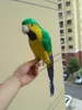 Garden Decorations Cute Green&yellow Parrot Model Foam&feather Simulation Bird Gift About 40cm D0109