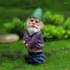 Gartendekorationen Elf Zwerg kleiner Junge lustige Figur Micro Landscape Szene