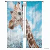 Tende blu cielo giraffe camera da letto tende per tulletto hotel decorazioni per casa tende a trasparente per soggiorno in chiffon stampato tende r230816