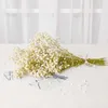 Dekorativa blommor Gypsophila naturliga färskt torkade bevarade Eternal Breath Buquets Valentine's Day Gift Wedding Boho Home Decor Paniculata