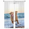 Vorhang Hund Niedlicher Strand Sonnenuntergang Schlafzimmer Tüllvorhänge Hotel Home Decor Transparente Vorhänge für Wohnzimmer Chiffon bedruckte Vorhänge