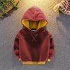 Hoodies sweatshirts herfst herfst kinderen kleding baby jongens meisjes lente schattige Koreaanse kinderen hoodie sweatshirt kinderkleding 230815