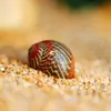 Decorative Objects Figurines 5pcs Sea Shell Natural Red Mini Small Conch Collection Hermit Crab Shell Changing Aquarium Decoration Shooting Props Vintage 230815